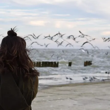 Апартаменты White Pearl 2.02 *